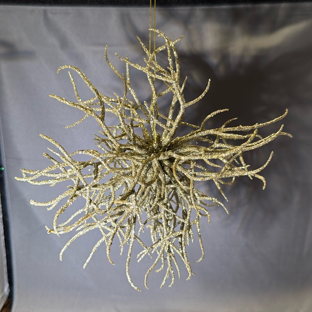 Gumps Anemone